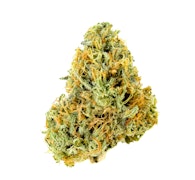 Pruf Cultivar Marshmellow #10