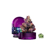  WIZARD TREES - New Yorker - Flower - 3.5G