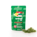 Juicy Secret 2:1 Gummies 10 Pack | ayrloom