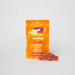 ayrloom - Sol Burst Orange Pomegranate | Edible | 10mg x 10pk | ayrloom