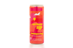 Ayrloom - Honey Crisp Apple Cider UP 2:1 - 10mg (Single) - Drink