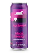 Black Cherry Beverage 2|1 Single