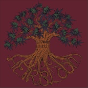 Heirbloom Legacy - 1g Terp Sugar - Master Kush