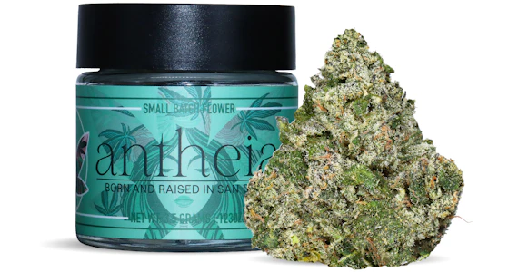 Antheia - Antheia - Nautilus Street - 3.5g