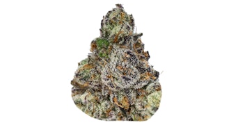 CAM - CAM Pop Private Reserve - 3.5g