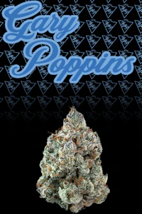 HIGHMARK PROVISIONS - Gary Poppins Flower - 3.5g - HMP