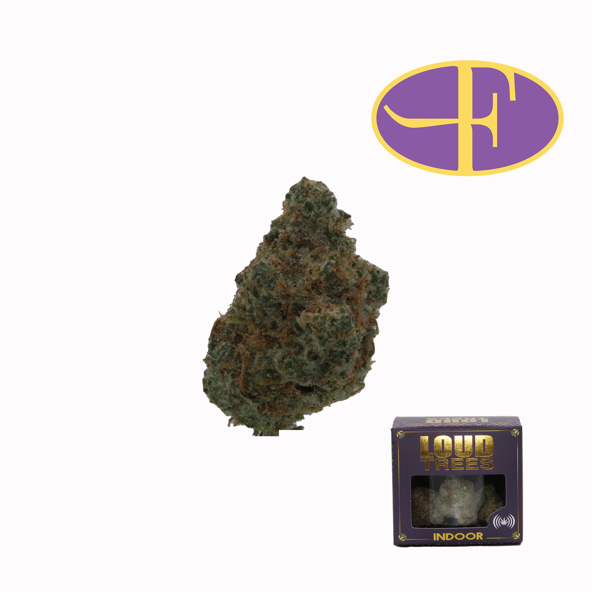 LOUD TREES - Lemon Royale Main Image