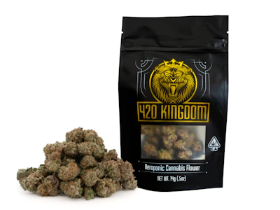 420 KINGDOM - 420 Kingdom - Temptation - 14g Smalls - 420K