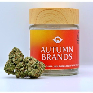 Autumn Brands - Autumn 3.5g Sundae Strudel $30