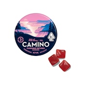Wild Berry Chill Camino Gummies | 100mg | KVC