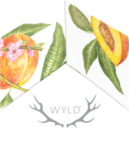 WYLD - Wyld-Peach 2:1 CBD:THC 100mg CBD:5mg THC-Hybrid Enhanced