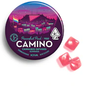 Camino Pride Passion Fruit Punch (S/H) Gummies 100mg