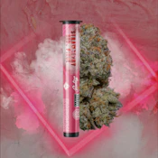 EVOL | Preroll | Strawberry Side Piece | 1g