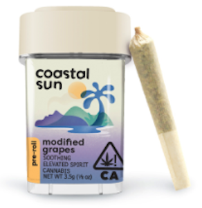 COASTAL SUN - Coastal Sun Prerolls 10pk 3.5g - Modified Grapes 23%