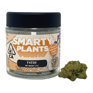 SMARTY PLANTS - SMARTY PLANTS: FATSO 3.5g