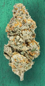 Reverly - Revelry Flower - Tropic Mints (Kushmint x Gelato 41) 32%