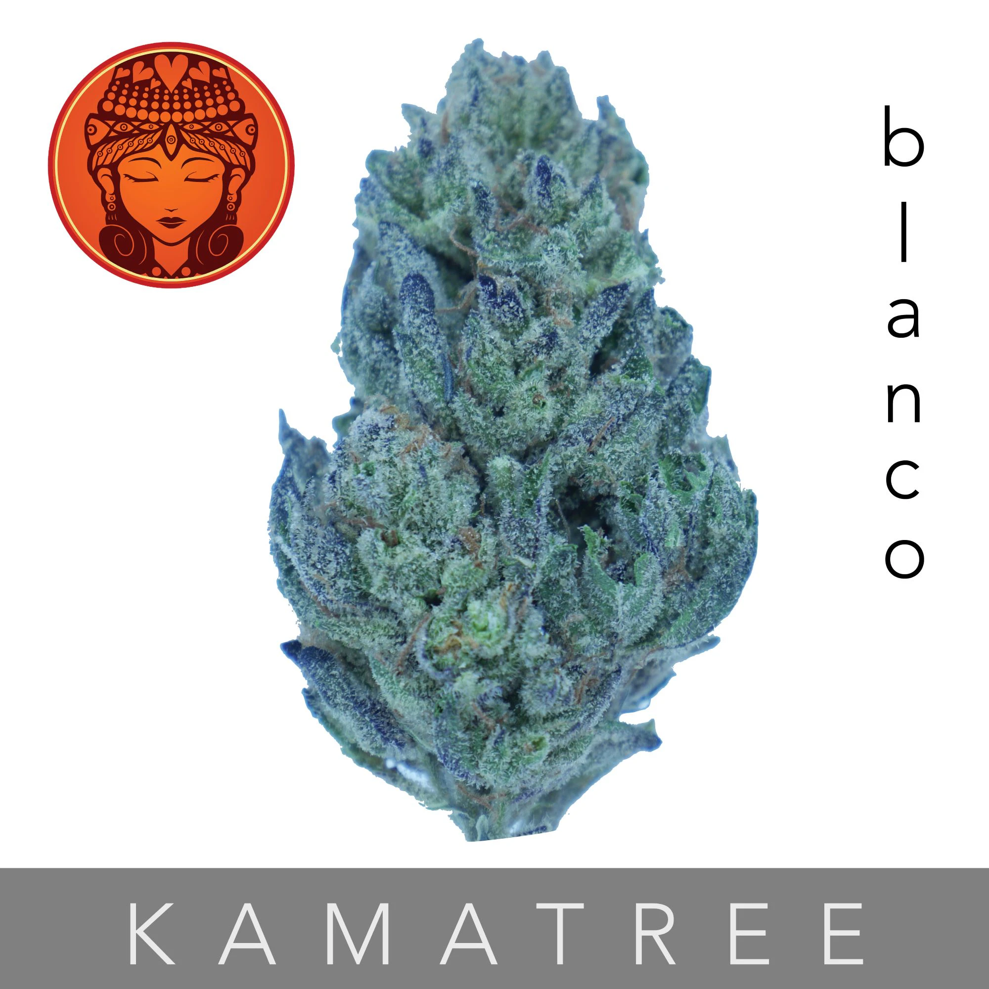 kamatree - Blanco (Eighth) Main Image