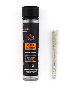 DANK - Dank - Maui Wowie - 1.1g Infused preroll