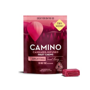 CAMINO - Forest Berry (Single) - 10mg - Camino
