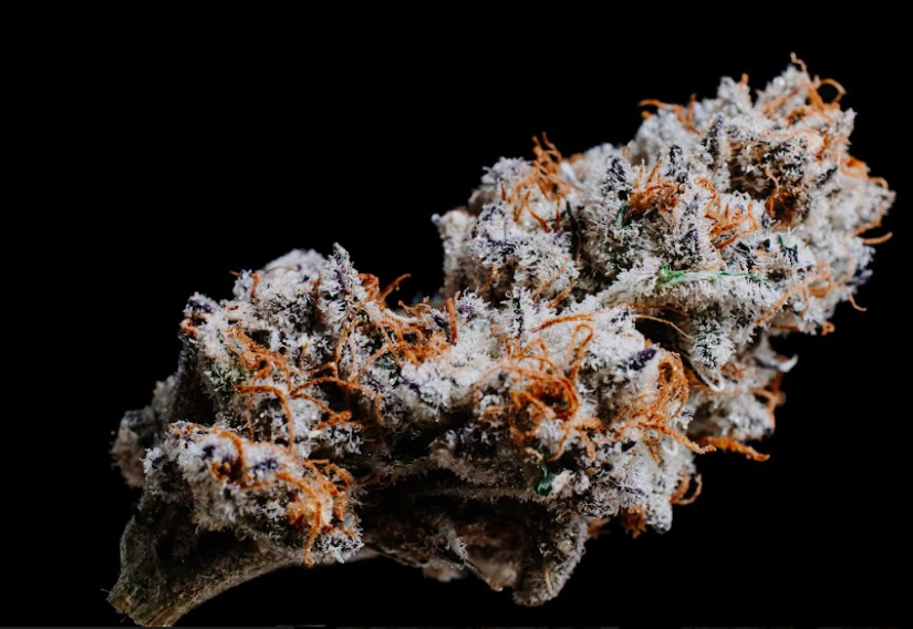 420 Kingdom - Coco Pebblez - 7g - 420K Main Image