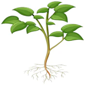 Grow Supply Snippers 