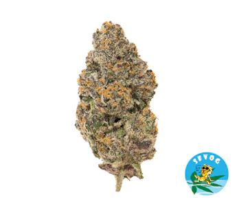 SFVOG - SFVOG/Biscotti/3.5g/(H)