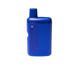 STAYME7O - Garden Grape | STAY MELO X HOLIDAY | 1g AIO