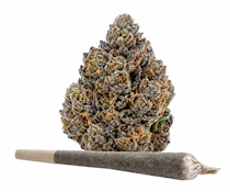 Campfire Cannabis- Cap Junky | 1g Case | Pre-roll (Raw Pre-Rolls)