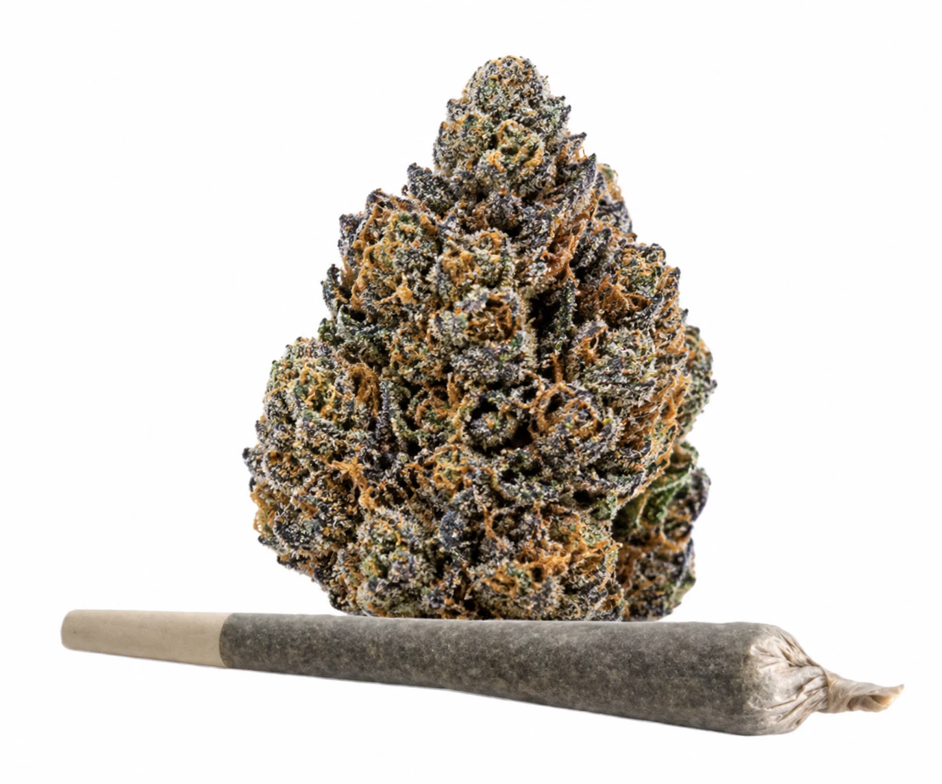 Campfire Cannabis - Campfire Cannabis- Cap Junky | 1g Case | Pre-roll (Raw Pre-Rolls) Main Image