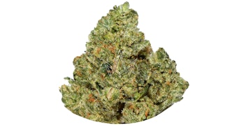 Farmer's Cup - Alien OG - 4g