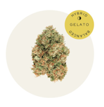 Hudson Cannabis - Gelato - .5g bag
