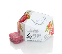 WYLD: Pomegranate 1:1 (CBD:THC) Enhanced Gummies 10-Piece/100mg (H)