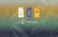Halara - Peaches & Cream - Live Diamond Sauce - 1g (H) - Halara Main Image