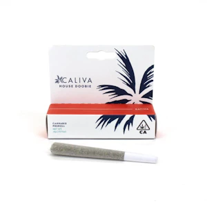 Caliva - House Doobie (S) - Caliva