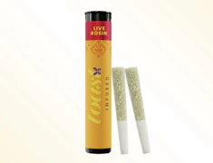 Toast - Gorilla Punch - Infused PreRolls - 2 x 0.5g