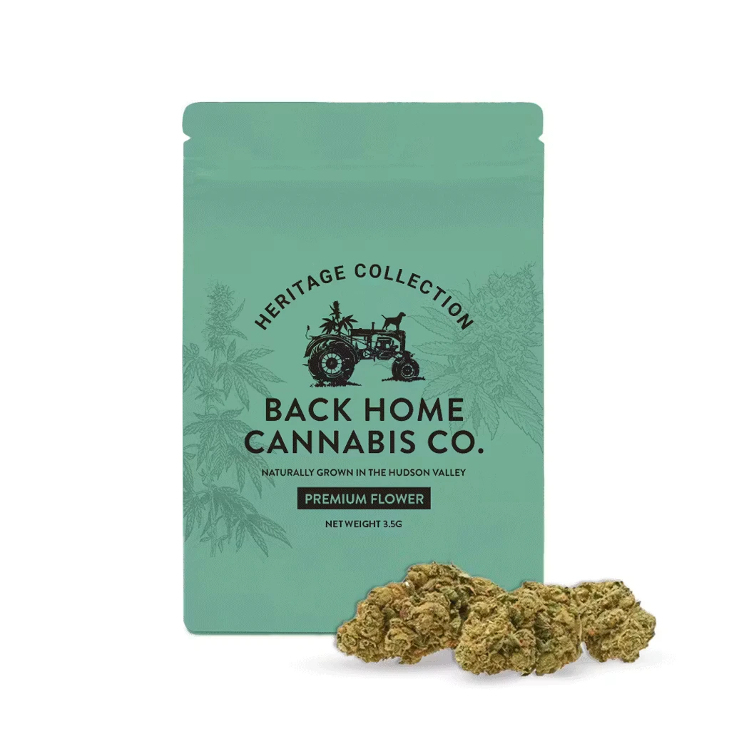 Back Home - Back Home | Jack Herer | 7g Flower Main Image
