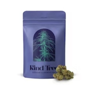 KIND TREE - Kind Tree | Flower | Peanut Butter Pie | 14g