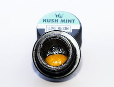 WCC Kush Mints Live Resin Sauce 1g