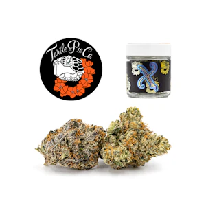 Turtle Pie Co. - Turtle Pie Co. - Gelato X - 1/8th