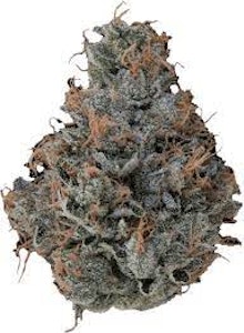 LOCAL CANNABIS COMPANY - LOCAL - ORANGE 43 3.5 GRAMS