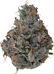 Local Cannabis Company - LOCAL - ORANGE 43 3.5 GRAMS Main Image