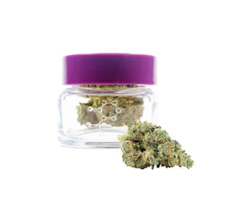 THC Design - THC Design - Garlic Cocktail - 3.5g Flower