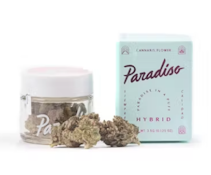 Paradiso - Larry's Breath Flower 3.5g Jar