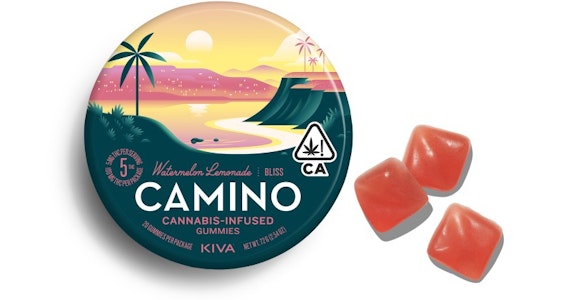 CAMINO - Camino - Watermelon Lemonade Gummies - 100mg
