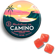 CAMINO WATERMELON LEMONADE - 100 MILLIGRAMS