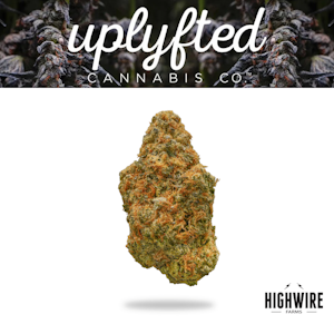 UPLYFTED CANNABIS - Baby Yoda 1/8th