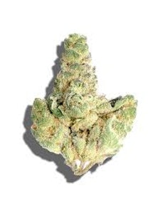 Buds - Banana Banshee