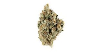 BANANA GELATO 1/4oz