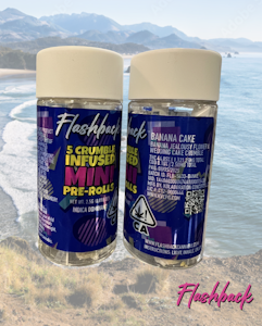 Flashback - Banana Cake - Infused Preroll - 5 Pack - 2.5g