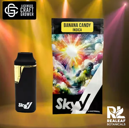SKYY - Banana Candy Disposable Vape - 1g Main Image